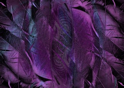 折线图形式展示连续七天列表首条变动时间，用于核对站点更新频率是否稳定