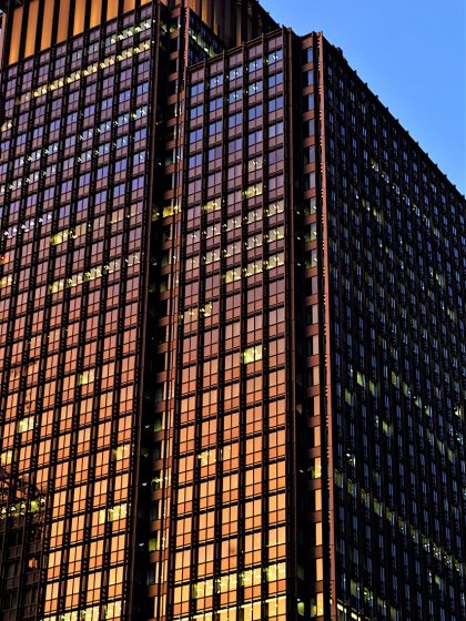条形热度示意图形，展示日本福利片各题材在检索端的相对占比区间
