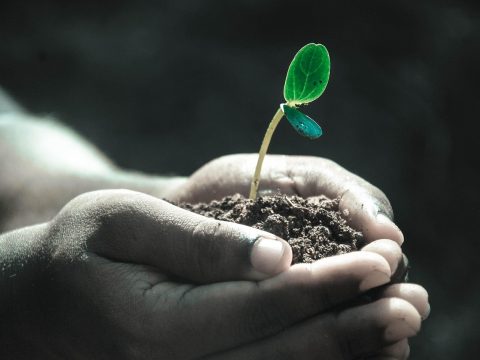 生活场景中自然光下的对话画面，用于国产福利视频内容形态对照示意